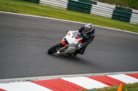 Middle Group White Bikes